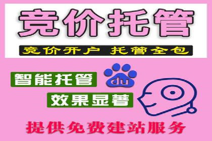 SEM运营实战：案例分析广告投放策略